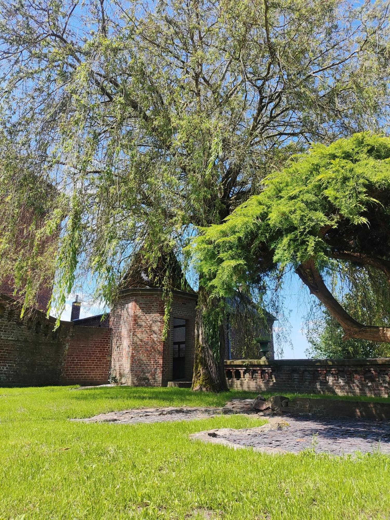 Bed and Breakfast Le Relais Napoleon Avesnes-sur-Helpe Exterior foto