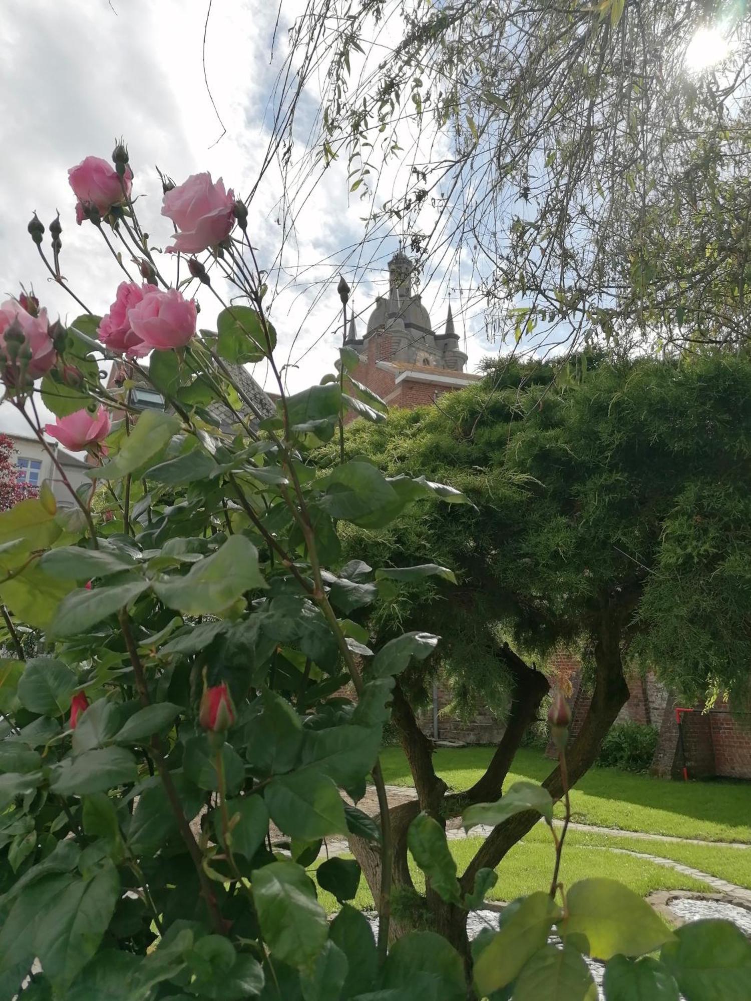 Bed and Breakfast Le Relais Napoleon Avesnes-sur-Helpe Exterior foto