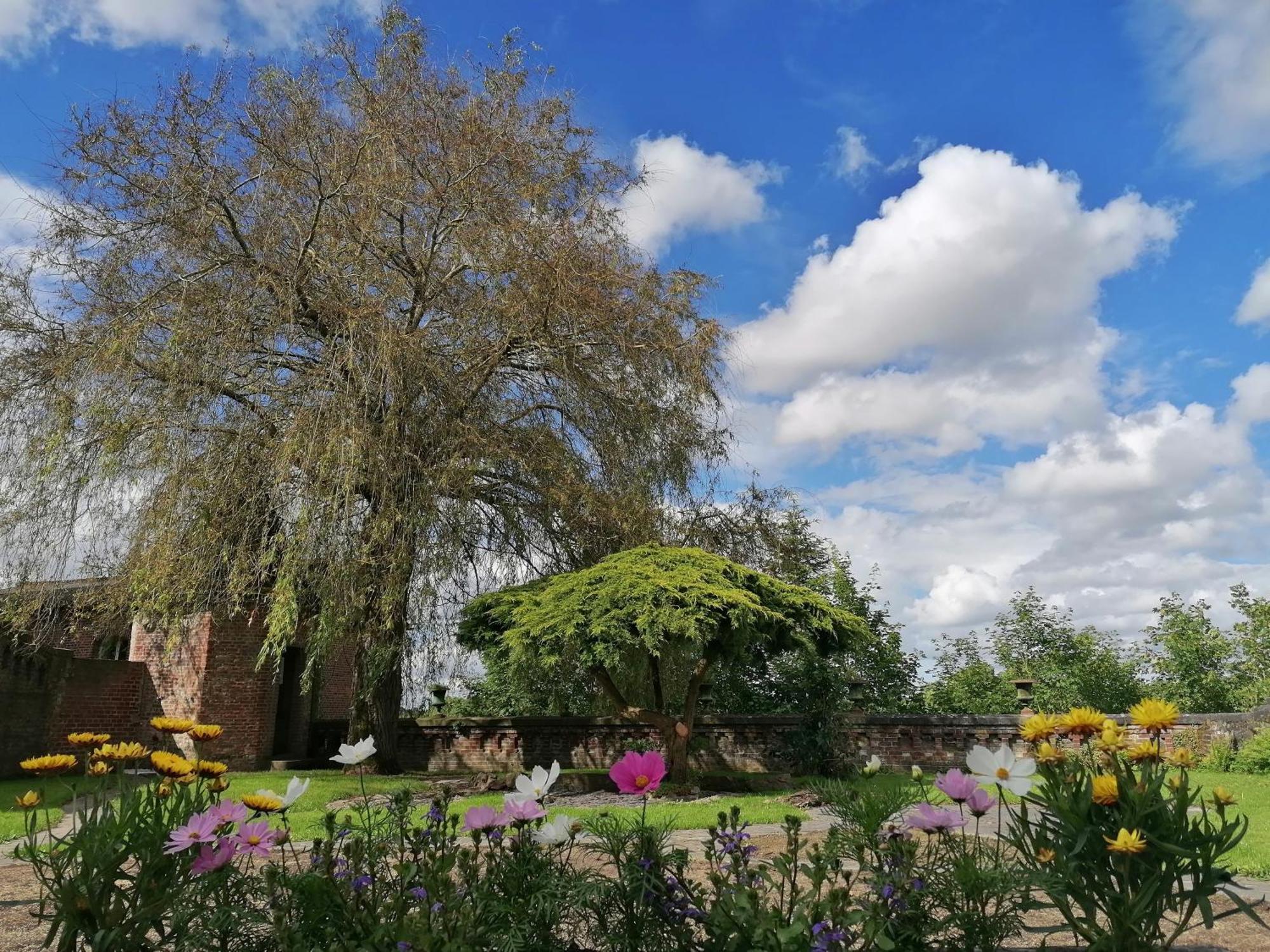 Bed and Breakfast Le Relais Napoleon Avesnes-sur-Helpe Exterior foto