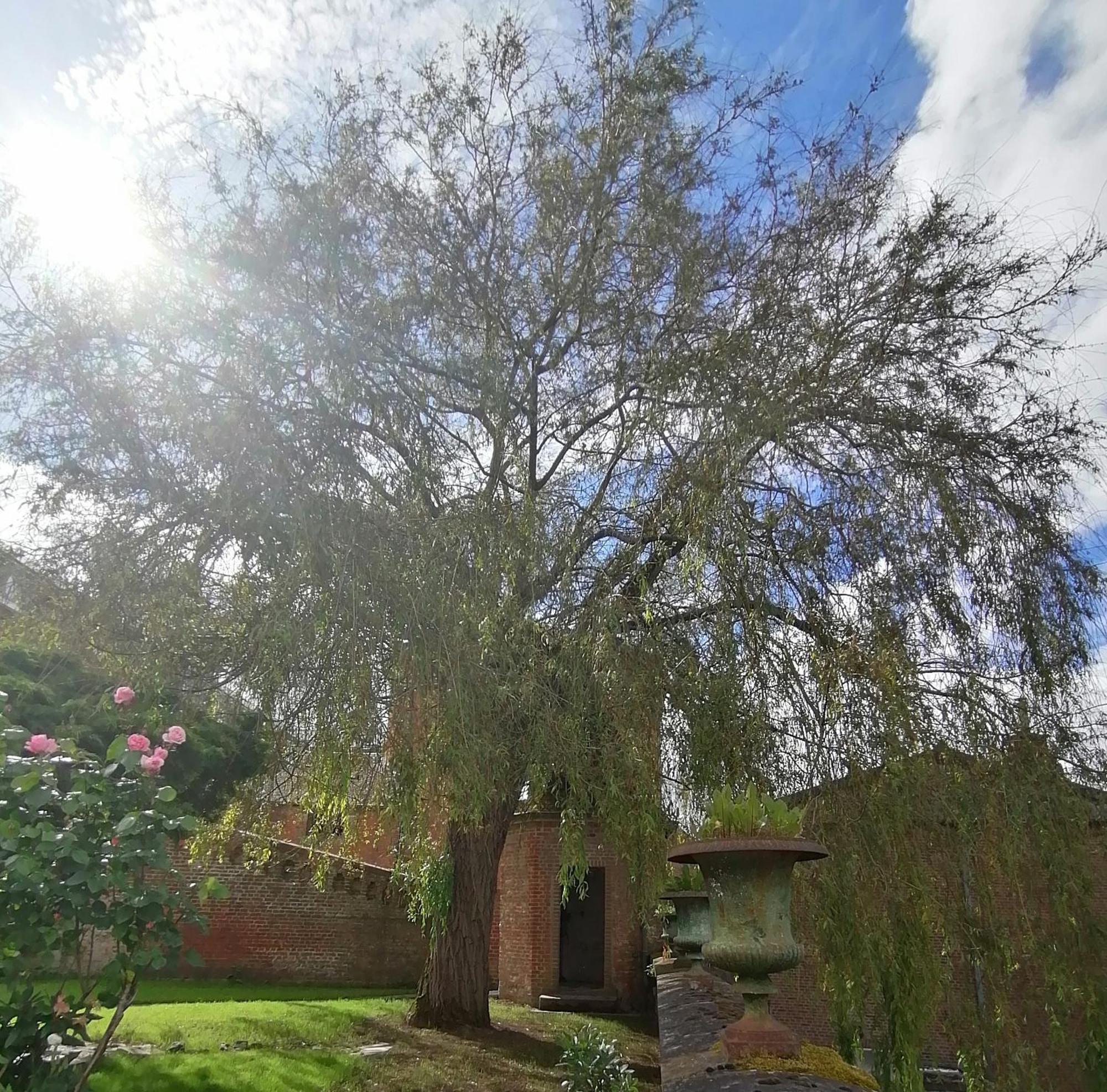 Bed and Breakfast Le Relais Napoleon Avesnes-sur-Helpe Exterior foto